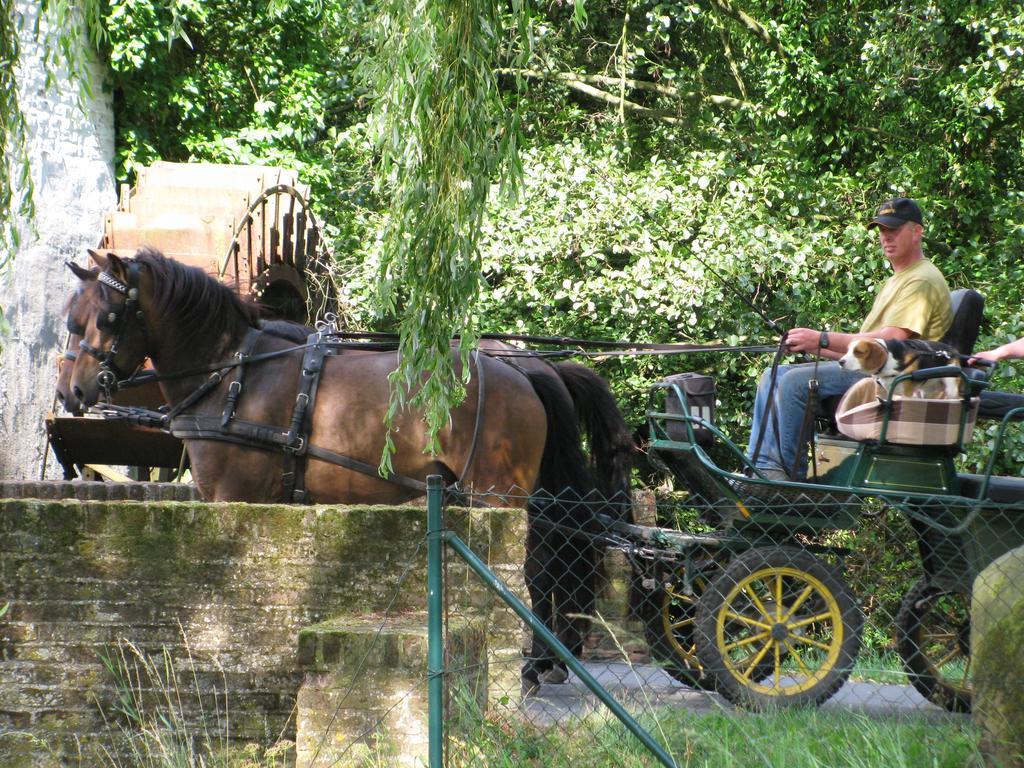 Vakantieverblijf Volmolen B&B マースアイク エクステリア 写真